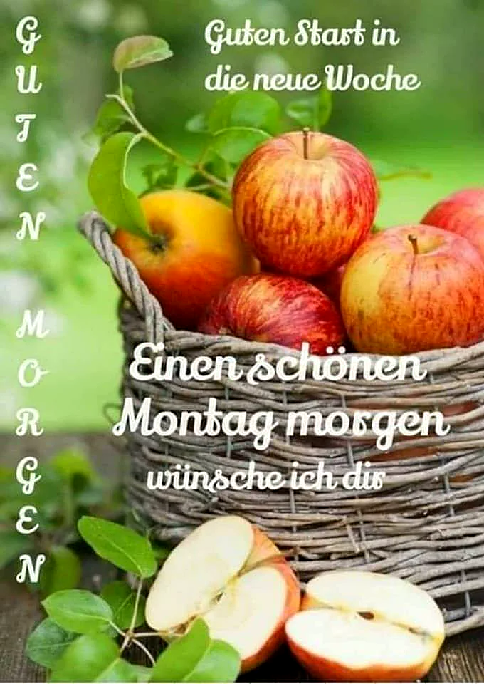 Ein Körbchen mit roten Äpfeln, einige Äpfel sind angeschnitten, grüne Blätter im Hintergrund, ein sonniger Tag