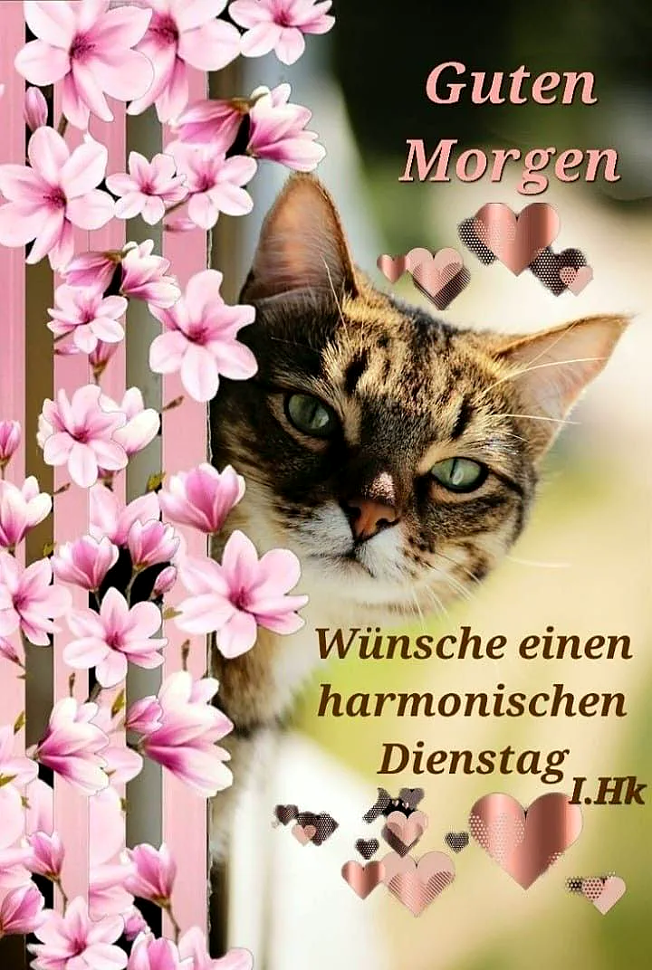 Ein niedliches getigertes Kätzchen mit grünen Augen lugt sanft hinter einem Vorhang aus zartrosa Blüten hervor, umgeben von romantischen Herz-Symbolen. Die Szene verströmt eine ruhige Morgenstimmung und wünscht einen harmonischen Dienstag.