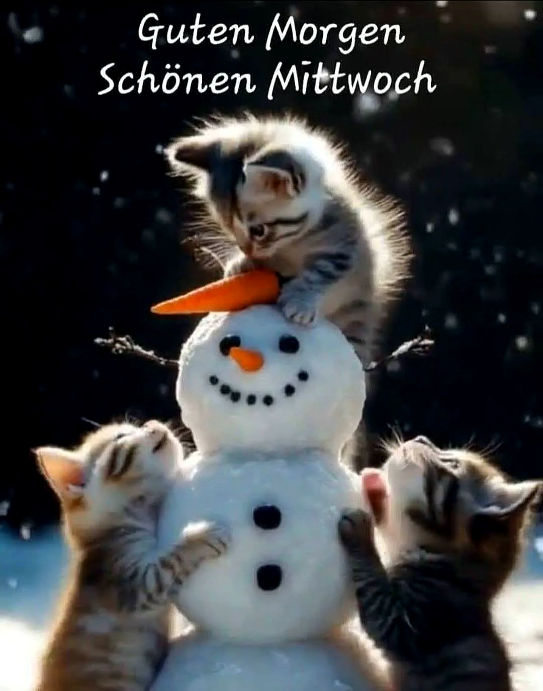 Drei niedliche Kätzchen und ein Schneemann im Winter. Ein Kätzchen sitzt oben auf dem Schneemann, während die anderen beiden den Schneemann berühren. Der Schneemann hat eine Karotte als Nase und Kohlen als Augen und Mund.