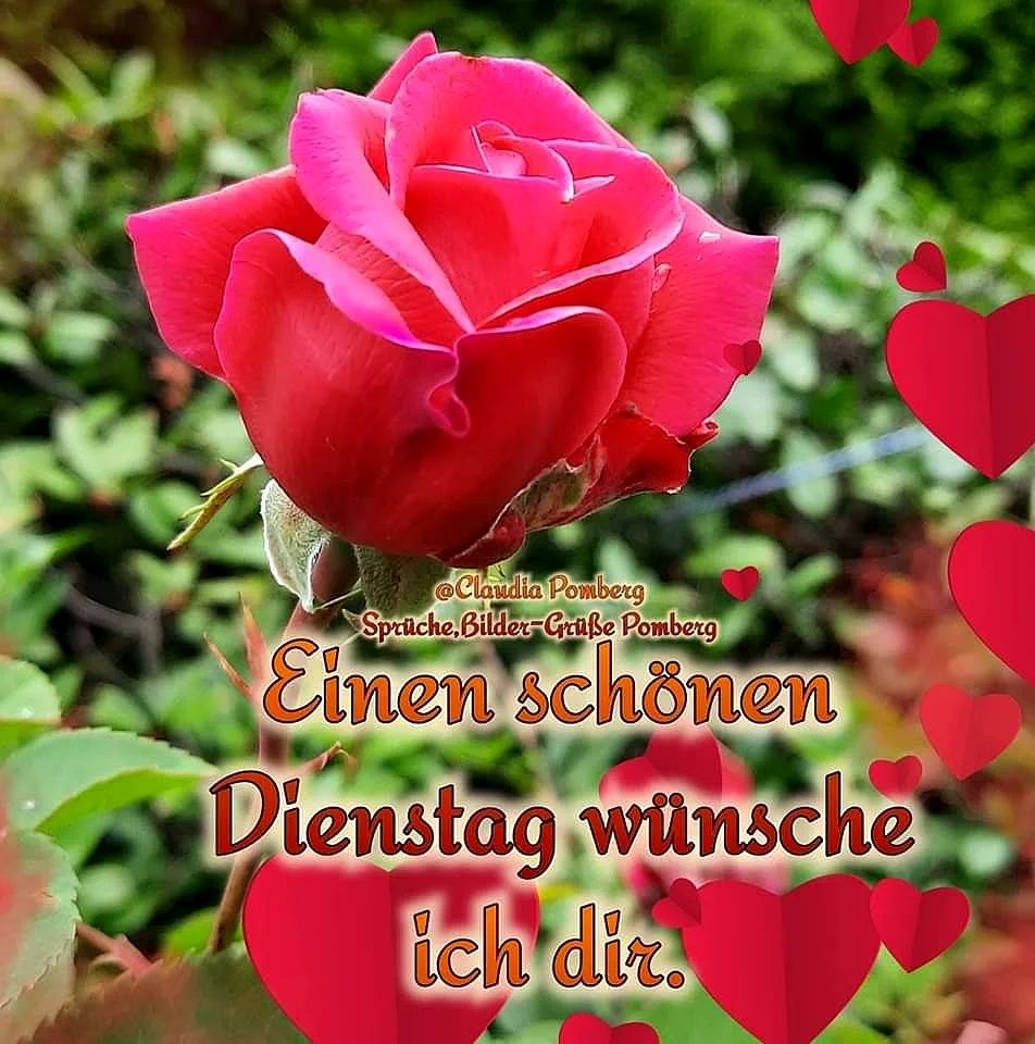 Nahaufnahme einer leuchtend roten Rose im Garten, umgeben von grünen Blättern. Rote Herz-Illustrationen schweben um den Text 'Einen schönen Dienstag wünsche ich dir.', der eine freundliche, motivierende Stimmung verbreitet.