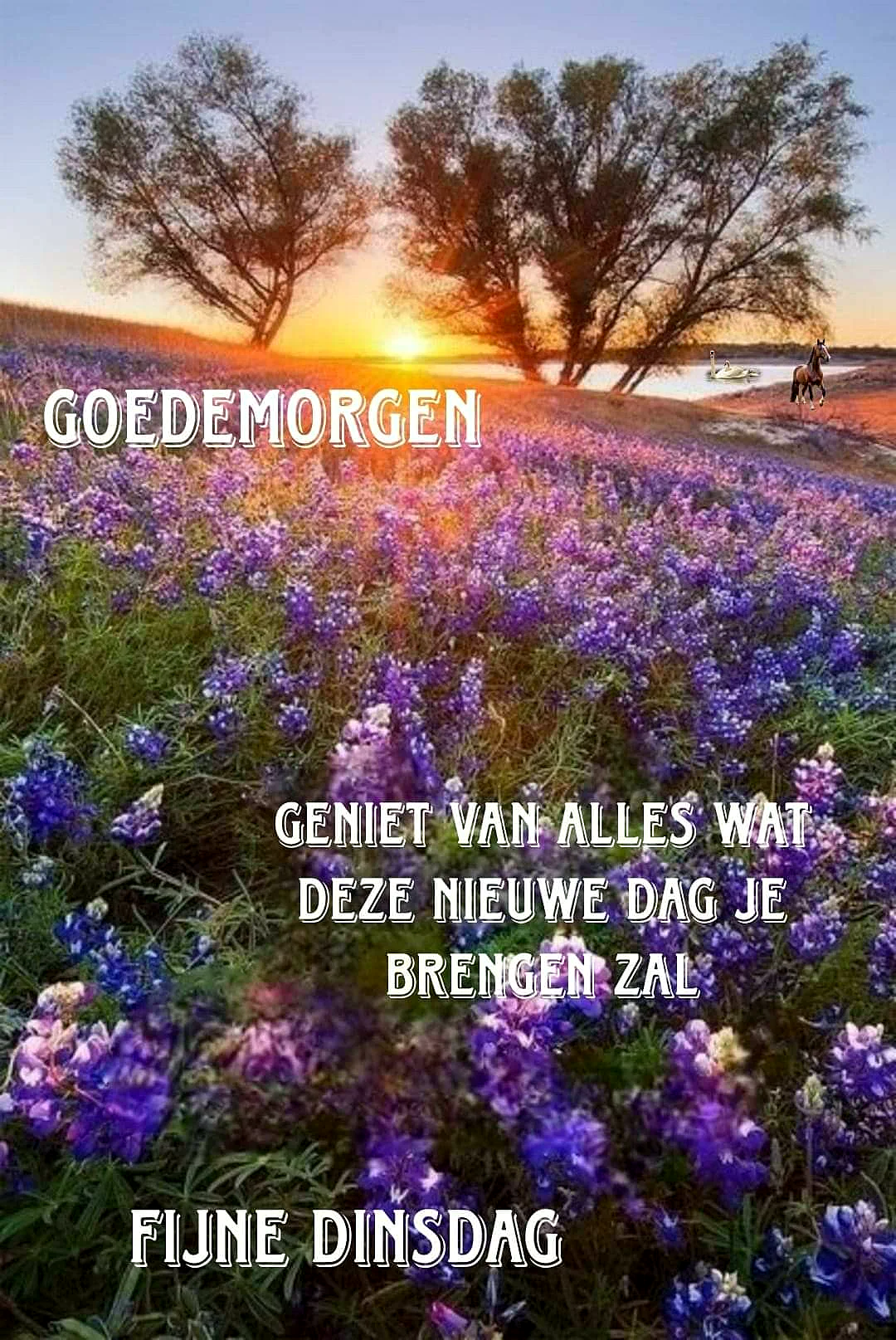Ein ruhiger Sonnenaufgang über einem Feld lila Blumen. Zwei Bäume ragen in den Himmel. Im Hintergrund ein See mit einem Pferd und einem Schwan. Die Szene vermittelt eine fokussierte, gelassene Stimmung für den Dienstag.