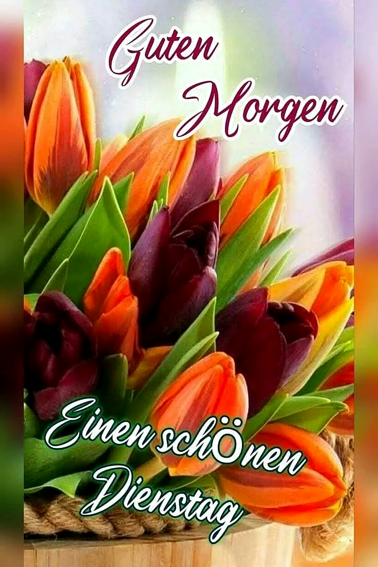 Ein Korb voller bunter Tulpen in den Farben Orange und Violett auf einem Holztisch, mit den Worten 'Guten Morgen Einen schönen Dienstag'