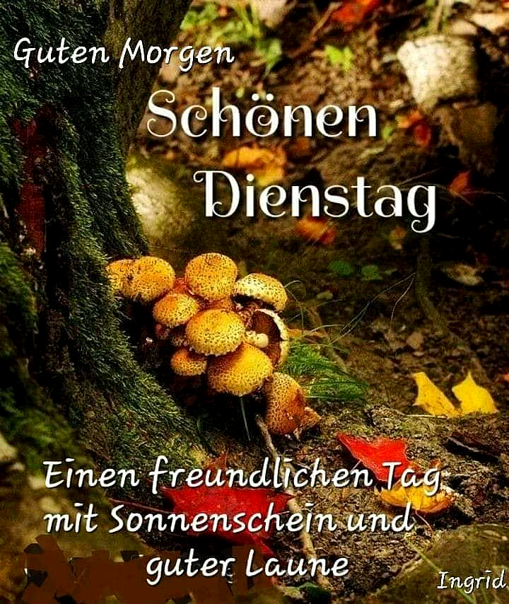 Ein Foto von einem Baumstamm mit gelben Pilzen und Blättern, im Hintergrund fallen Blätter und Erde, ein sonniger Tag im Herbst
