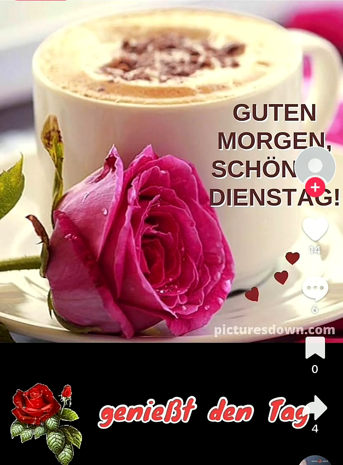 Ein warmes Kaffeegetränk in einer weißen Tasse mit einer rosa Rose auf einem Teller, im Hintergrund unscharf, Tageslicht, ruhig, gemütlich