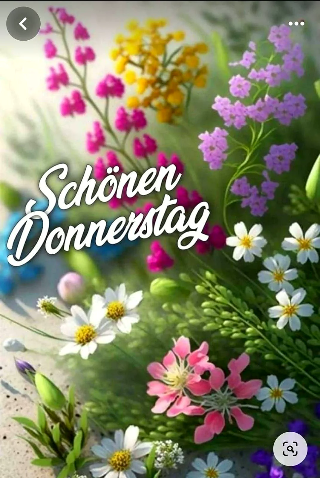 Ein Blumenstrauß mit weißen, rosa, gelben und violetten Blumen auf grünem Grund, im Hintergrund unscharf, Sonnenlicht von links, freundlich.