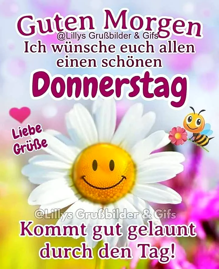 Ein sonniges gelbes Smiley-Gesicht in einer weißen Blume mit weißen Blütenblättern. Ein kleiner Bienen-Emoji daneben. Im Hintergrund eine Blumenwiese mit verschiedenen farbigen Blumen und ein paar Schmetterlingen.