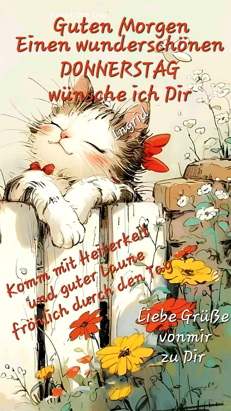 Ein illustriertes Bild mit einer schlafenden Katze, die über einen Zaun schaut, umgeben von bunten Blumen. Der Hintergrund ist hell und sonnig.