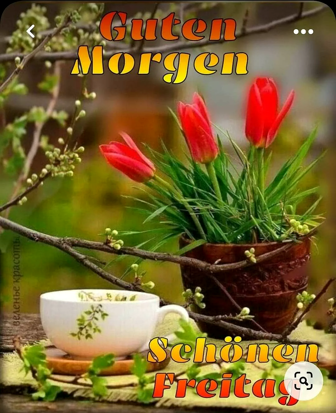 Ein Foto von einem Frühstück mit einer Tasse Kaffee oder Tee, daneben ein Topf mit drei roten Tulpen auf einem Holztisch im Freien. Der Tisch ist mit einem gelben Tuch abgedeckt. Im Hintergrund sieht man einen grünen Garten oder Park.