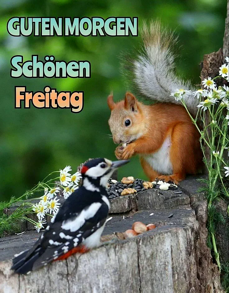 Ein Eichhörnchen und ein Vogel sitzen auf einem Baumstumpf, umgeben von Blumen und Vogelfutter. Der Eichhörnchen hält ein Stück Nuss in den Pfoten.