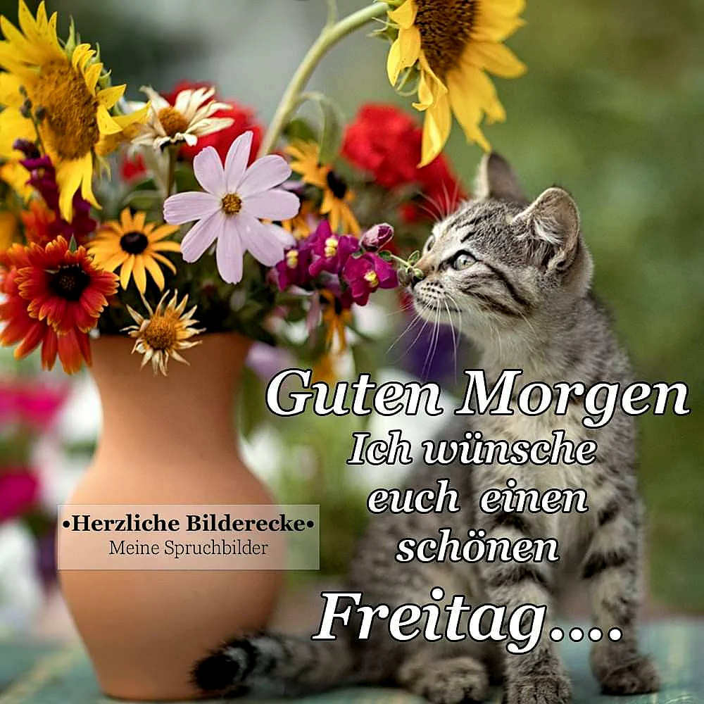 Ein niedliches graues Kätzchen sitzt neben einer farbenfrohen Blumenvase mit Sonnenblumen, Dahlien und anderen Blumen. Der Hintergrund ist grün und unscharf. Das Kätzchen riecht an einer Blume.