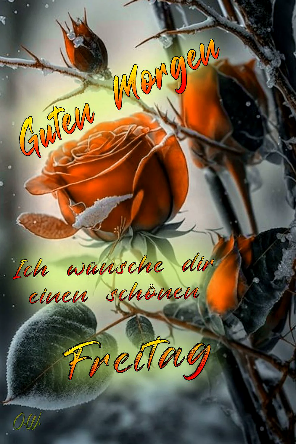 Ein oranges Rosenblatt mit Tautropfen, umgeben von grünen Blättern und Stacheln, im Hintergrund ein weicher, verschwommener Hintergrund