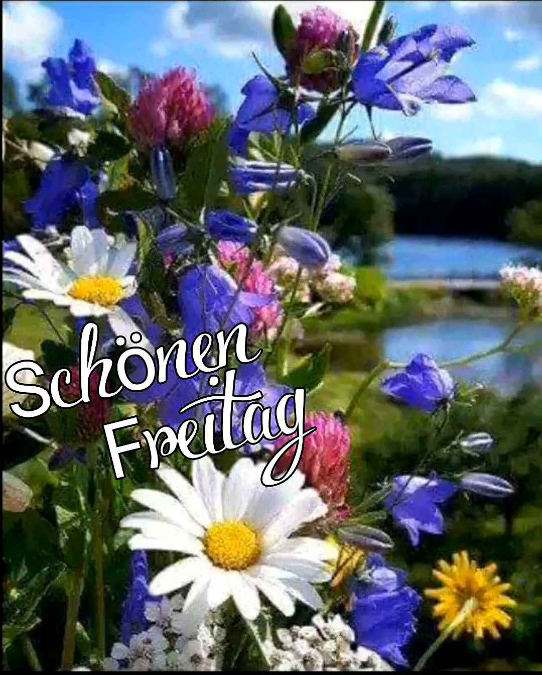 Ein Foto von bunten Blumen vor einem See, mit einem klaren blauen Himmel und weißen Wolken. Die Blumen sind in verschiedenen Farben wie Blau, Rosa und Weiß.