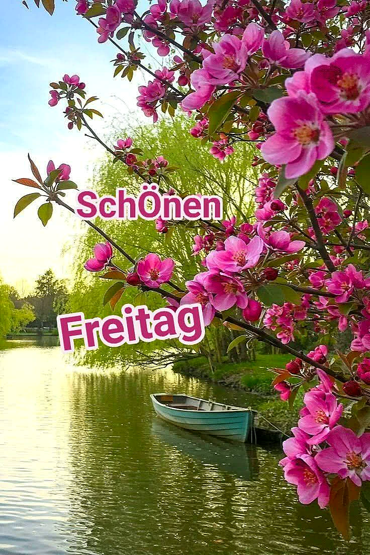Ein ruhiger See mit einem kleinen blauen Boot unter einer blühenden rosa Kirschblütenbaum im Frühling, ein sonniger Himmel mit grünen Bäumen im Hintergrund.
