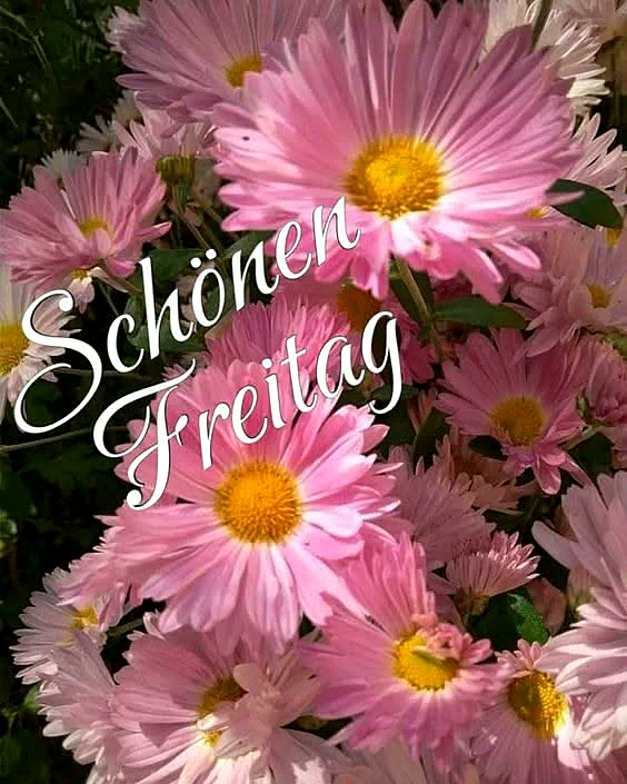 Ein Bild mit einem Blumenstrauß aus rosa und weißen Blüten, die den Anschein von Frühlingsgefühlen erwecken.