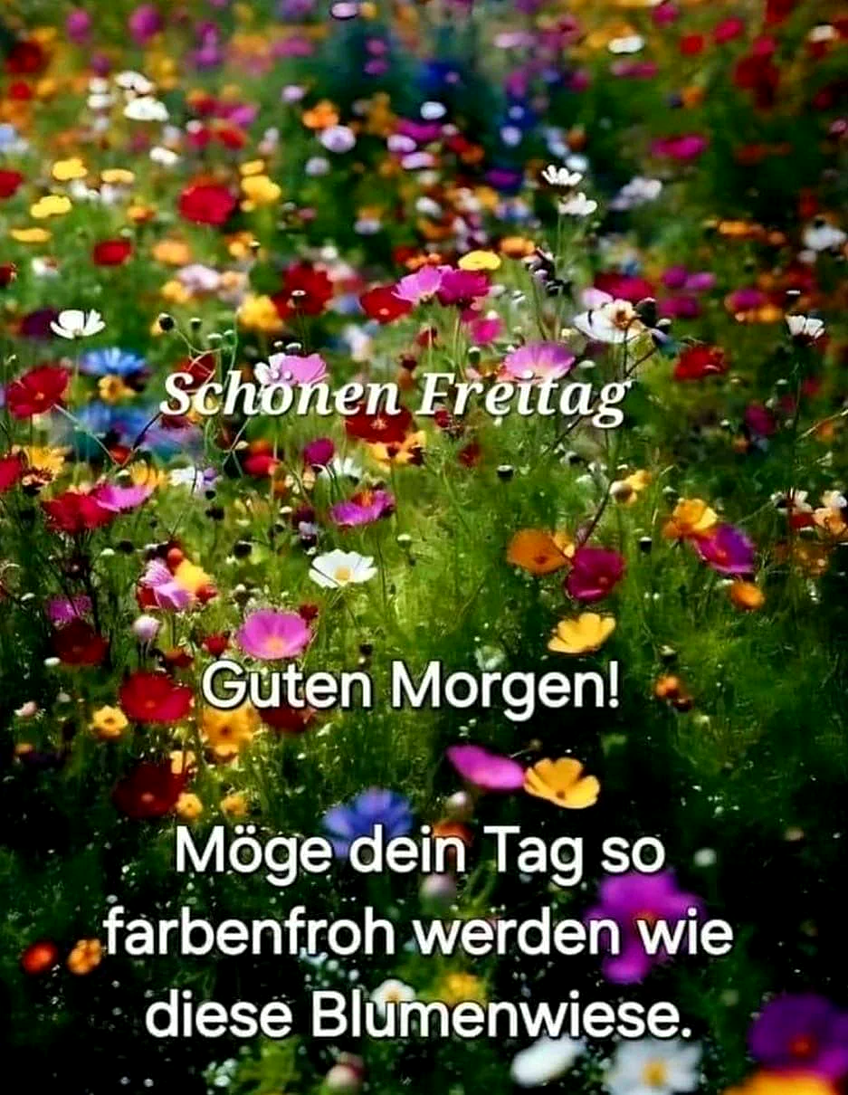 Ein farbenfroher Blumenwiese mit vielen verschiedenen Blumen, ein sonniger Morgen