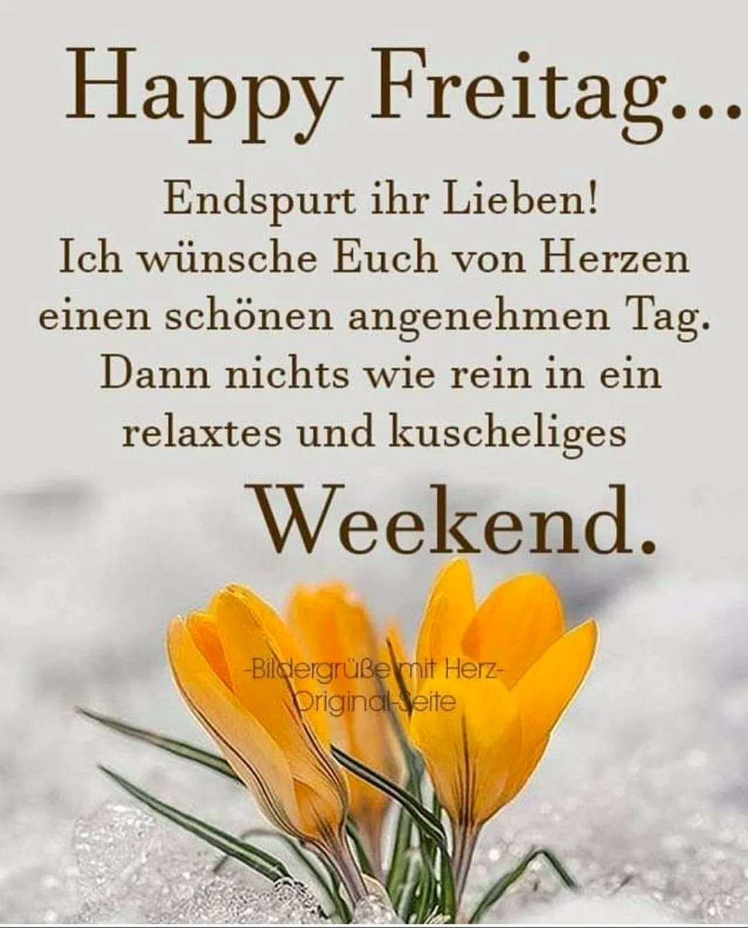 Ein Bild mit gelben Blumen im Schnee, dahinter ein unscharfer, grauer Hintergrund. Der Text 'Happy Freitag... Endspurt ihr Lieben! Ich wünsche Euch von Herzen einen schönen angenehmen Tag. Dann nichts wie rein in ein relaxte und kuscheliges Wochenende.' ist in brauner Schrift über das Bild gelegt.