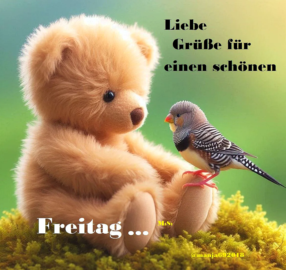 Ein niedlicher Teddybär sitzt auf einem grünen Grund neben einem kleinen Vogel mit schwarz-weißen Federn und orangefarbenem Schnabel. Der Teddy blickt den Vogel an, während dieser auf dem Arm des Teddys sitzt. Die Szene ist idyllisch und friedlich.