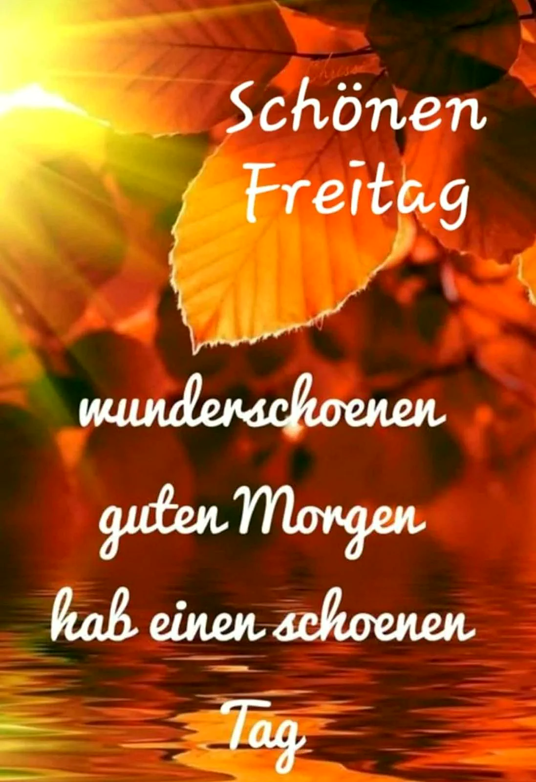Ein sonniges Bild mit orangefarbenen Blättern und einem hellen Sonnenlicht, das auf das Wasser scheint. Die Blätter sind teilweise abgefallen und liegen auf der Wasseroberfläche.