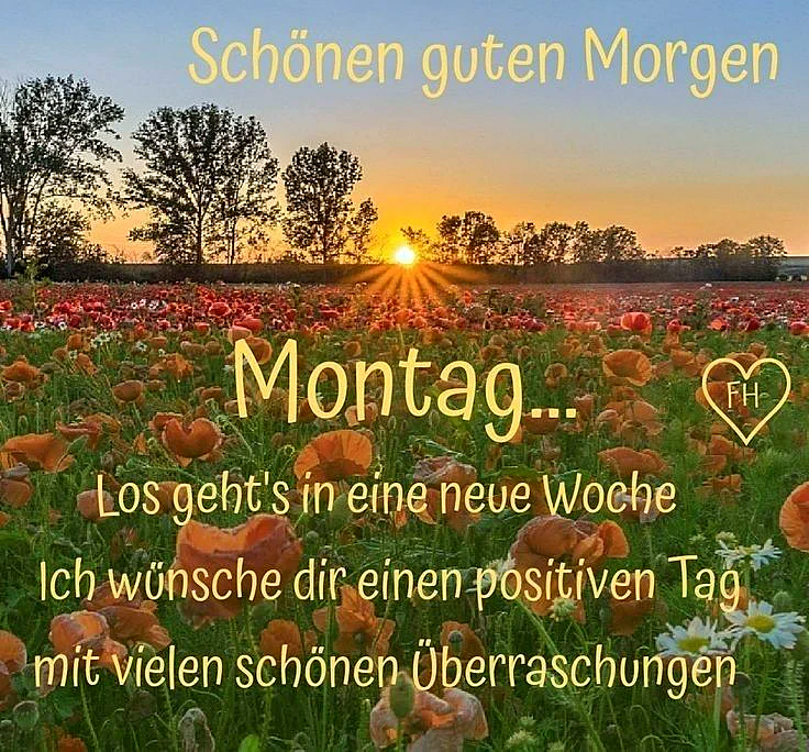 Ein Feld voller bunter Blumen bei Sonnenaufgang, mit Bäumen im Hintergrund und einem strahlenden Himmel