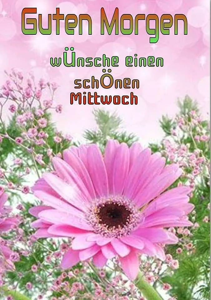 Ein großes rosa Blütenblatt mit dunklem Zentrum, umgeben von grünen Blättern und kleineren rosa Blüten vor einem rosa Hintergrund mit weißen Lichtern.