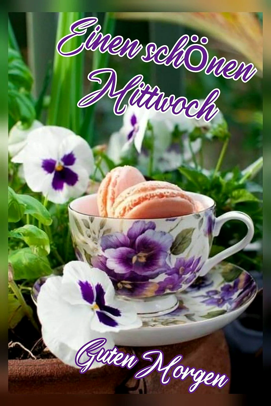Ein floraler Kaffeebecher mit rosa Macarons, umgeben von grünen Pflanzen und weißen Blumen mit violetten Zentren.