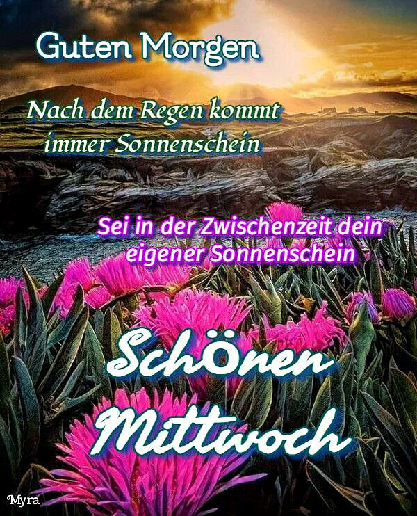 Ein Foto von pinken Blumen auf einer Wiese bei Sonnenaufgang mit einem dramatischen Himmel und Bergen im Hintergrund