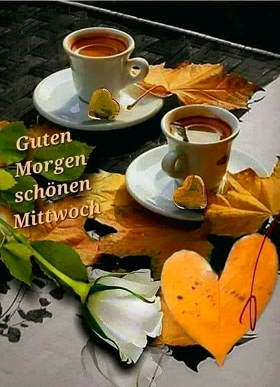 Zwei dampfende Kaffeetassen auf weißen Untertassen, umgeben von leuchtenden Herbstblättern. Eine weiße Rosenknospe und ein orangefarbenes Herzblatt betonen die warme und gemütliche Stimmung. Ein ermutigender Mittwochmorgen-Gruß.