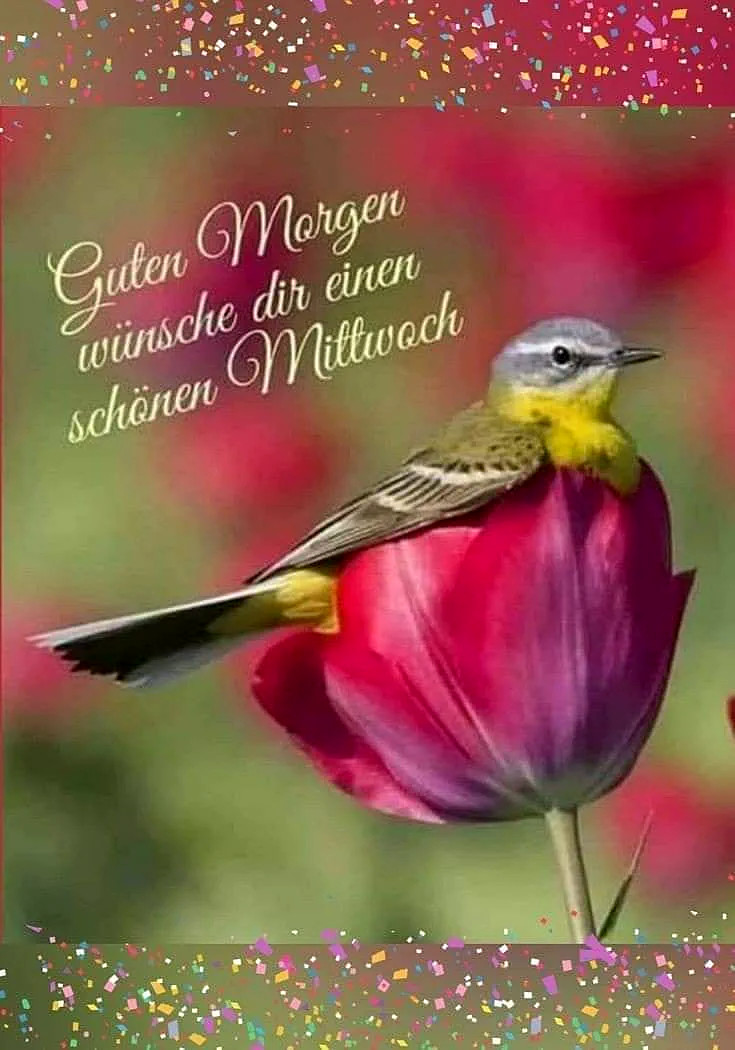 Ein kleiner Vogel mit gelber Brust sitzt auf einer rosa Tulpe vor einem grünen Hintergrund mit rosa Blumen, umgeben von farbenfrohen Konfetti.