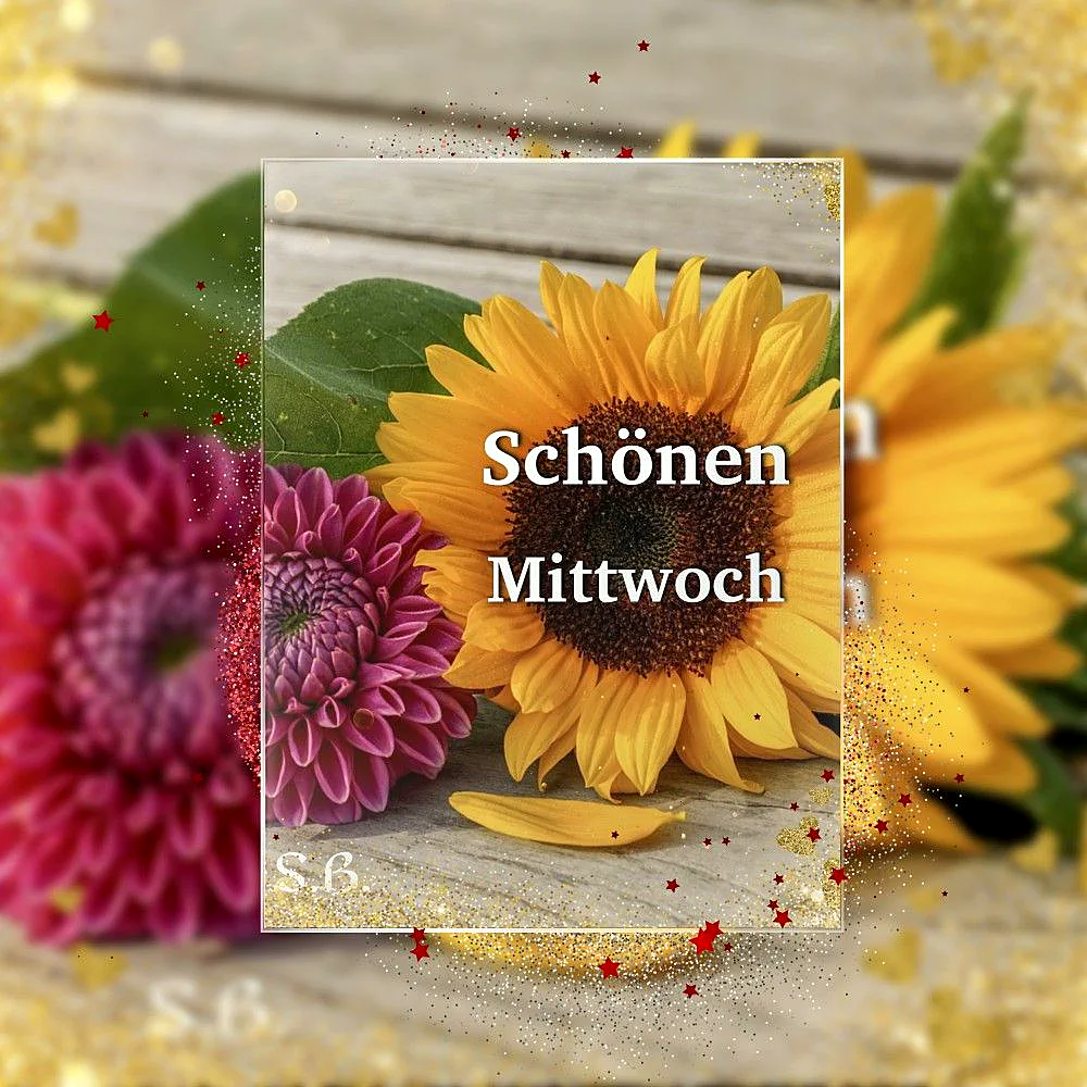 Leuchtende Sonnenblume und dunkelrosa Blüte auf Holzgrund. Zentral steht 'Schönen Mittwoch'. Goldener Glitzer und rote Sterne umgeben das Motiv, das die Wochenmitte mit positiver Energie begrüßt.