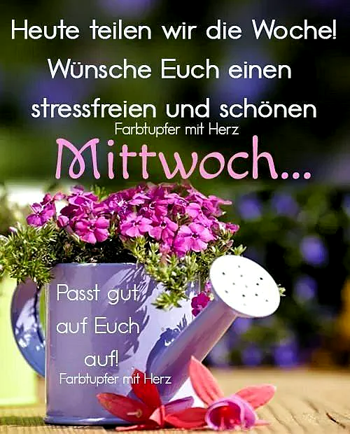 Eine kleine lila Gießkanne mit leuchtenden rosa Phlox-Blüten steht auf einem Holzbrett. Der Hintergrund zeigt eine unscharfe grüne und lila Vegetation. Daneben liegen einzelne rote Blütenblätter. Eine frühlingshafte, freundliche Stimmung vermittelt diesen Mittwochs-Gruß.
