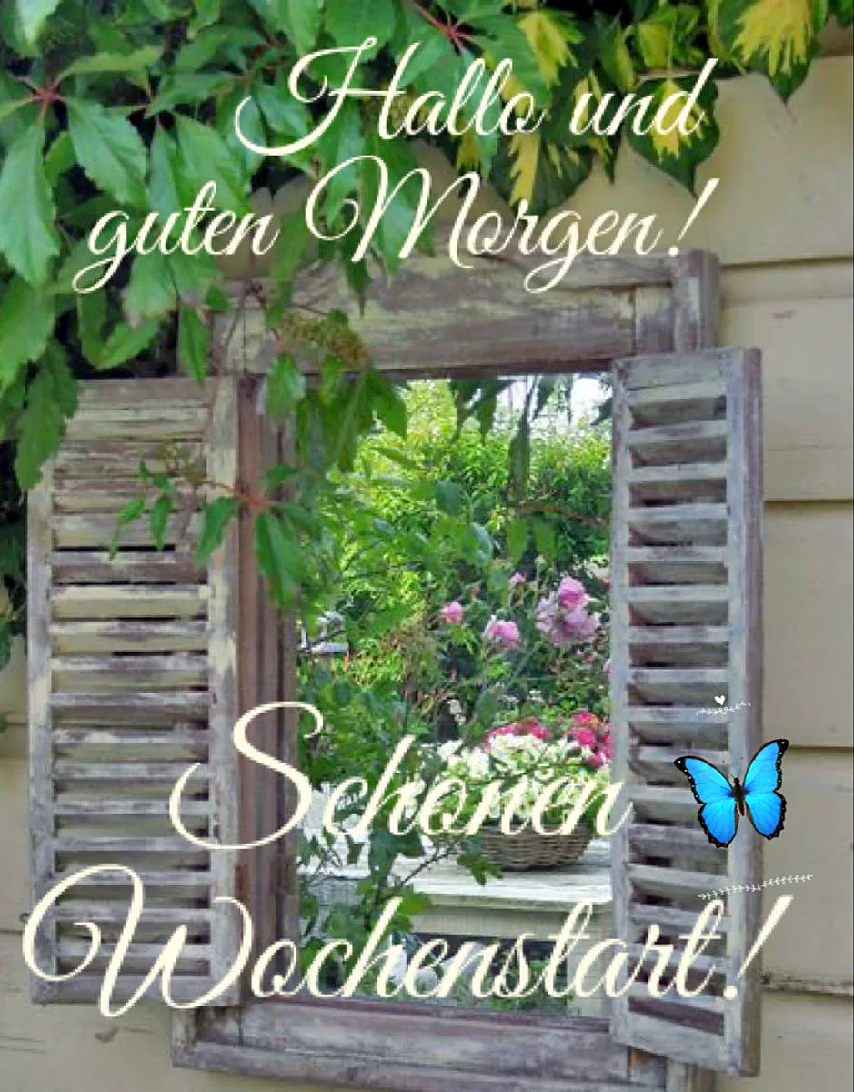 Ein geöffnetes, altes Fenster mit Holzläden, durch das ein Blick in einen Garten mit Blumen und grünen Blättern sichtbar ist. Oben am Fensterrahmen hängen Blätter. Vor dem Fenster ein Korb mit Blumen. Ein blauer Schmetterling fliegt davor.