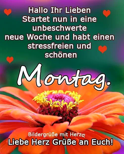 Ein farbenfrohes Bild mit einer orangefarbenen Blume vor einem grünen und violetten Hintergrund. Der Text 'Montag' ist in großen, weißen Buchstaben über die Blume gelegt. Kleine rote Herzen umrahmen den Text.