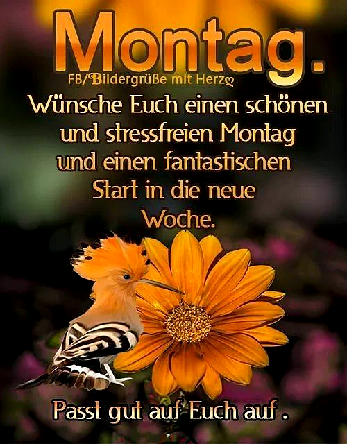 Ein Foto mit einem orangefarbenen Vogel, der auf einer großen orangefarbenen Blume sitzt, vor einem unscharfen Hintergrund mit pinken Blumen. Der Text 'Montag' und ein herzlicher Gruß sind überlagert.