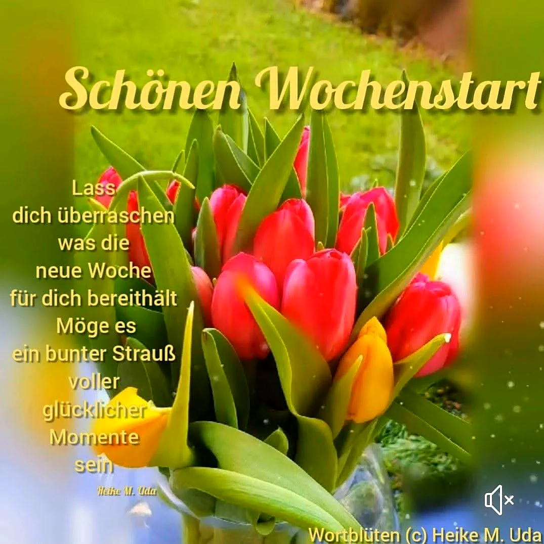Ein Blumenstrauß mit roten und gelben Tulpen auf grünem Rasen, mit freundlichen Grüßen zum Wochenstart