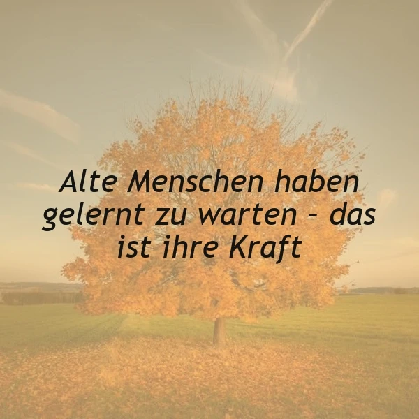 Ein goldener Herbstbaum mit leuchtenden Blättern steht in einem weiten Feld unter hellem Himmel. Der inspirierende Spruch "Alte Menschen haben gelernt zu warten - das ist ihre Kraft" fängt die Weisheit des Alters und die Schönheit der Geduld ein.