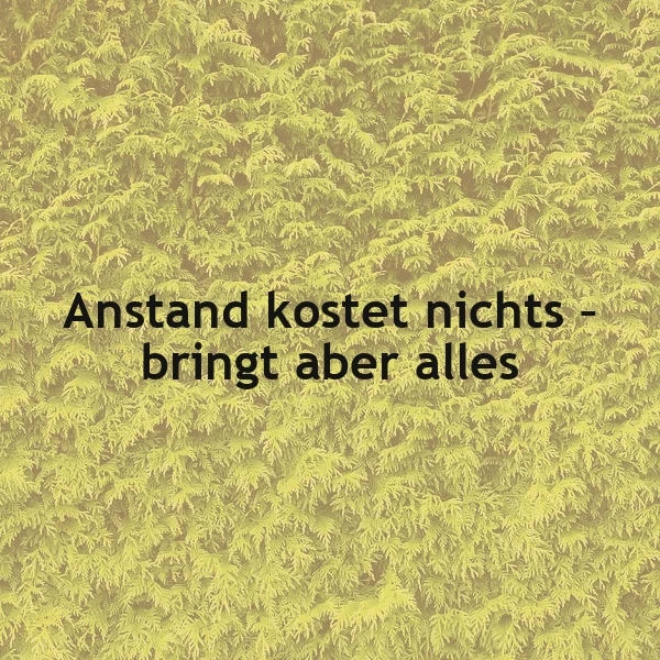 Ein Zitat auf gelbem Hintergrund mit Blattmotiv: 'Anstand kostet nichts - bringt aber alles'