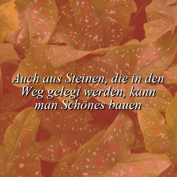 Inspirierendes Zitat auf warmen, gesprenkelten Blättern. Der Spruch 'Auch aus Steinen, die in den Weg gelegt werden, kann man Schönes bauen' steht in weißer Schrift. Eine Botschaft, die Mut macht und zu Resilienz anregt.