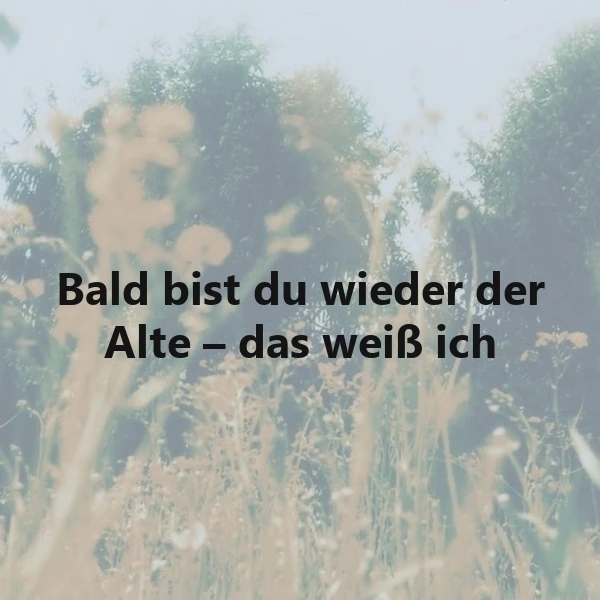 Ein weichgezeichnetes Naturbild mit hohem Gras und unscharfen grünen Bäumen im Hintergrund, das den aufmunternden weißen Text „Bald bist du wieder der Alte – das weiß ich“ zentral darstellt und Hoffnung vermittelt.