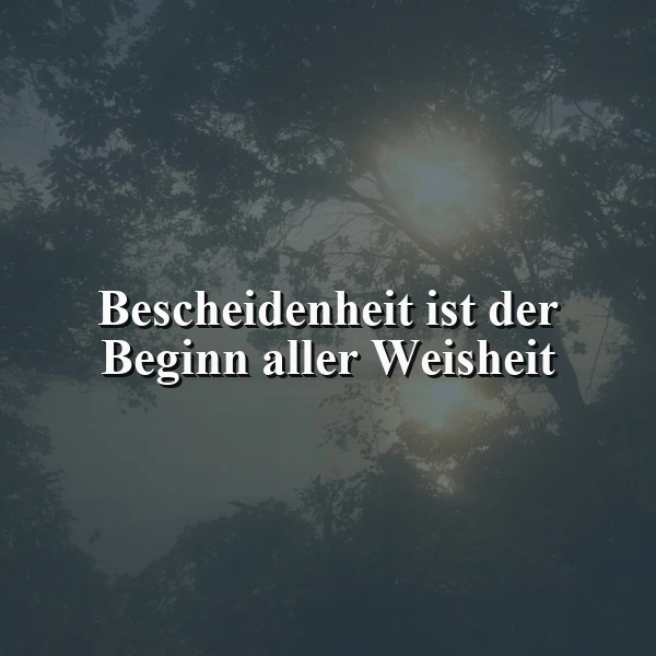 Mystisches Waldbild bei Sonnenaufgang, wo Lichtstrahlen durch dunkle Baumwipfel fallen. Im Mittelpunkt steht das Zitat 'Bescheidenheit ist der Beginn aller Weisheit' in weißer Schrift, vermittelnd eine tiefgründige und ruhige Atmosphäre der Einsicht.
