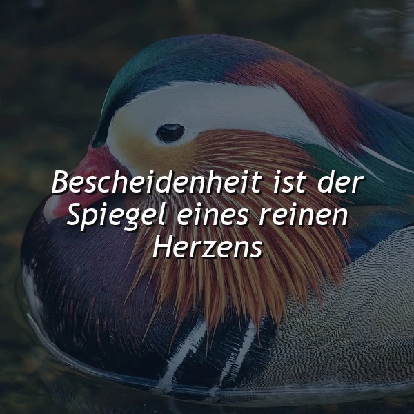 Eine prächtig gefärbte Mandarinenente gleitet sanft auf dunklem Wasser, während der Spruch 'Bescheidenheit ist der Spiegel eines reinen Herzens' die ruhige und tiefe Atmosphäre unterstreicht.
