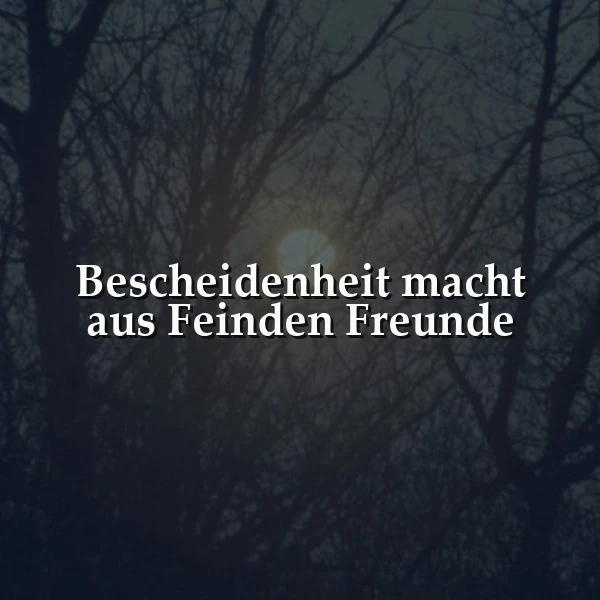Ein mystisches Bild, das Baumkonturen in der Dämmerung zeigt, wobei eine helle Lichtquelle wie der Mond sanft durch die Äste scheint. Inmitten dieser stillen Szenerie steht der weiße, inspirierende Spruch: 'Bescheidenheit macht aus Feinden Freunde', der zum Nachdenken über menschliche Verbindungen anregt.