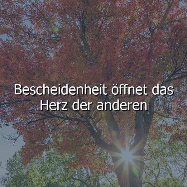 Ein Baum mit roten Blättern im Herbst, Sonnenlicht durch die Äste, Bescheidenheit öffnet das Herz der anderen