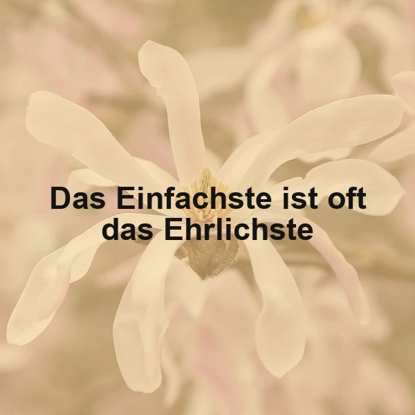 Zarte, cremeweiße Magnolienblüte mit gelbem Herzen im Fokus. Der Spruch 'Das Einfachste ist oft das Ehrlichste' lädt zur Aufrichtigkeit ein. Der weiche, pastellfarbene Hintergrund in Rosa und Beige schafft eine ruhige, nachdenkliche Atmosphäre.