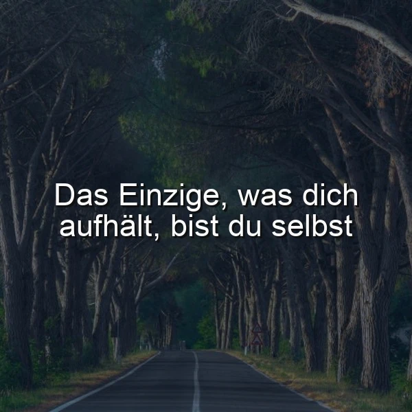Ein von dunklen Bäumen gesäumter Waldweg bildet eine ruhige Allee. Der zentrale Spruch „Das Einzige, was dich aufhält, bist du selbst“ strahlt eine melancholische, doch hoffnungsvolle Atmosphäre aus.