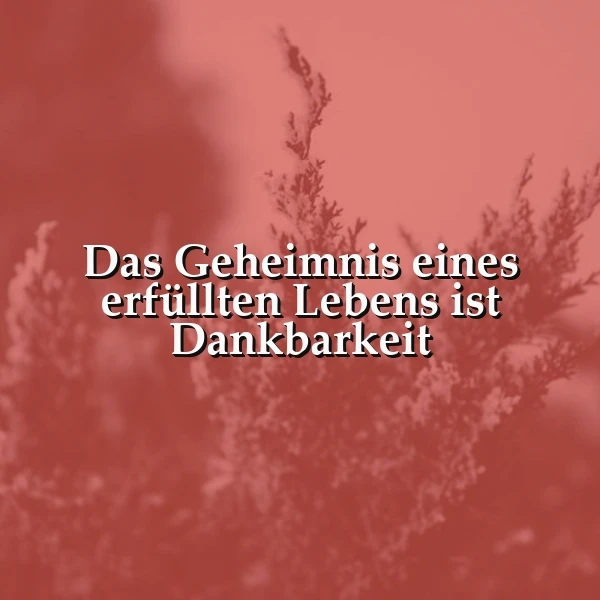 Ein rosa-rote Farbgebung mit einem unscharfen Hintergrund von Blättern und einem zentralen weißen Text, der das Zitat 'Das Geheimnis eines erfüllten Lebens ist Dankbarkeit' zeigt.