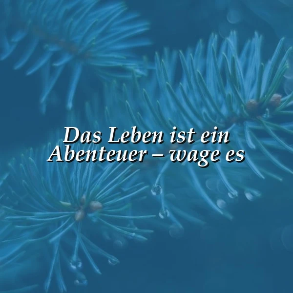 Ein dunkelblaues Bild mit Tannenwedeln, darauf der Spruch 'Das Leben ist ein Abenteuer - wage es' in weißer Schrift