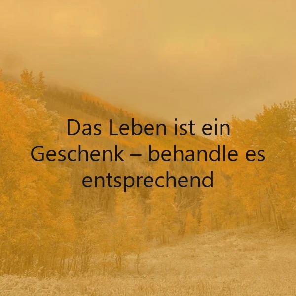 Ein herbstlicher Wald mit gelben Blättern und einem nebeligen Himmel, auf dem der Spruch 'Das Leben ist ein Geschenk – behandle es entsprechend' in schwarzer Schrift liegt.