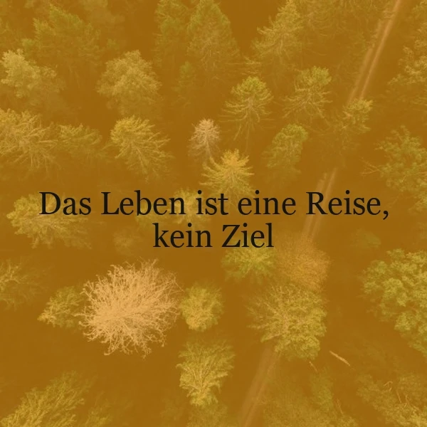 Luftaufnahme eines üppigen Waldes, bedeckt von einem warmen, ockerfarbenen Filter, der eine friedliche Atmosphäre schafft. Zentral im Bild steht der tiefgründige Spruch: 'Das Leben ist eine Reise, kein Ziel'.