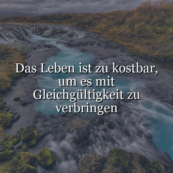 Ein Fluss mit klarem Wasser, der über Felsen und durch eine Landschaft mit grünen und braunen Pflanzen fließt, im Hintergrund eine bewölkte Landschaft. Das Bild zeigt ein Zitat: 'Das Leben ist zu kostbar, um es mit Gleichgültigkeit zu verbringen'. Die Atmosphäre ist ruhig und inspirierend.