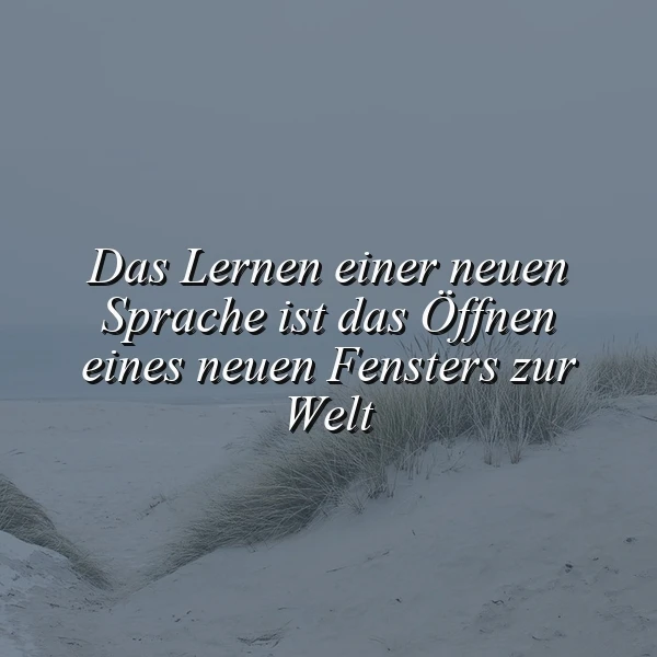 Ruhiges Bild einer winterlichen Dünenlandschaft mit hellem Sand und Dünengras, über dem mittig der Spruch „Das Lernen einer neuen Sprache ist das Öffnen eines neuen Fensters zur Welt“ in weißer Schrift schwebt.